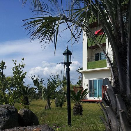 Jeju Bada Wi Olle Pension Seogwipo Bagian luar foto