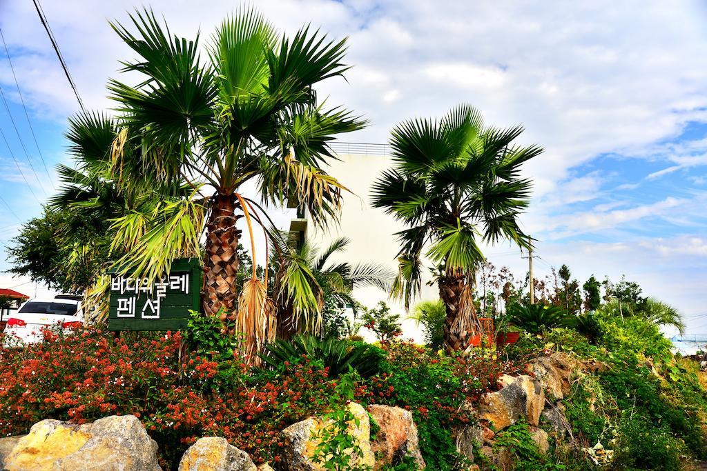 Jeju Bada Wi Olle Pension Seogwipo Bagian luar foto
