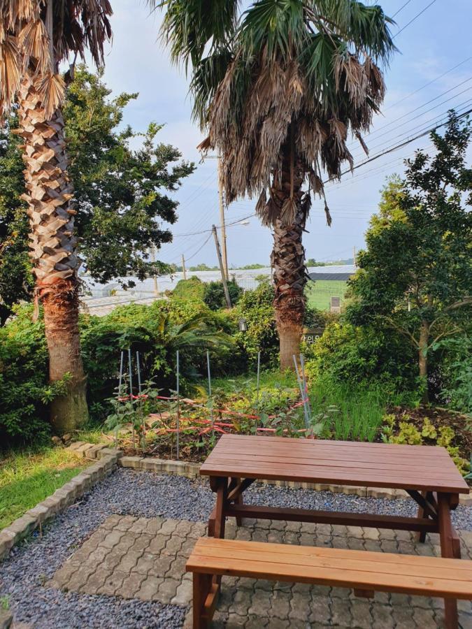 Jeju Bada Wi Olle Pension Seogwipo Bagian luar foto